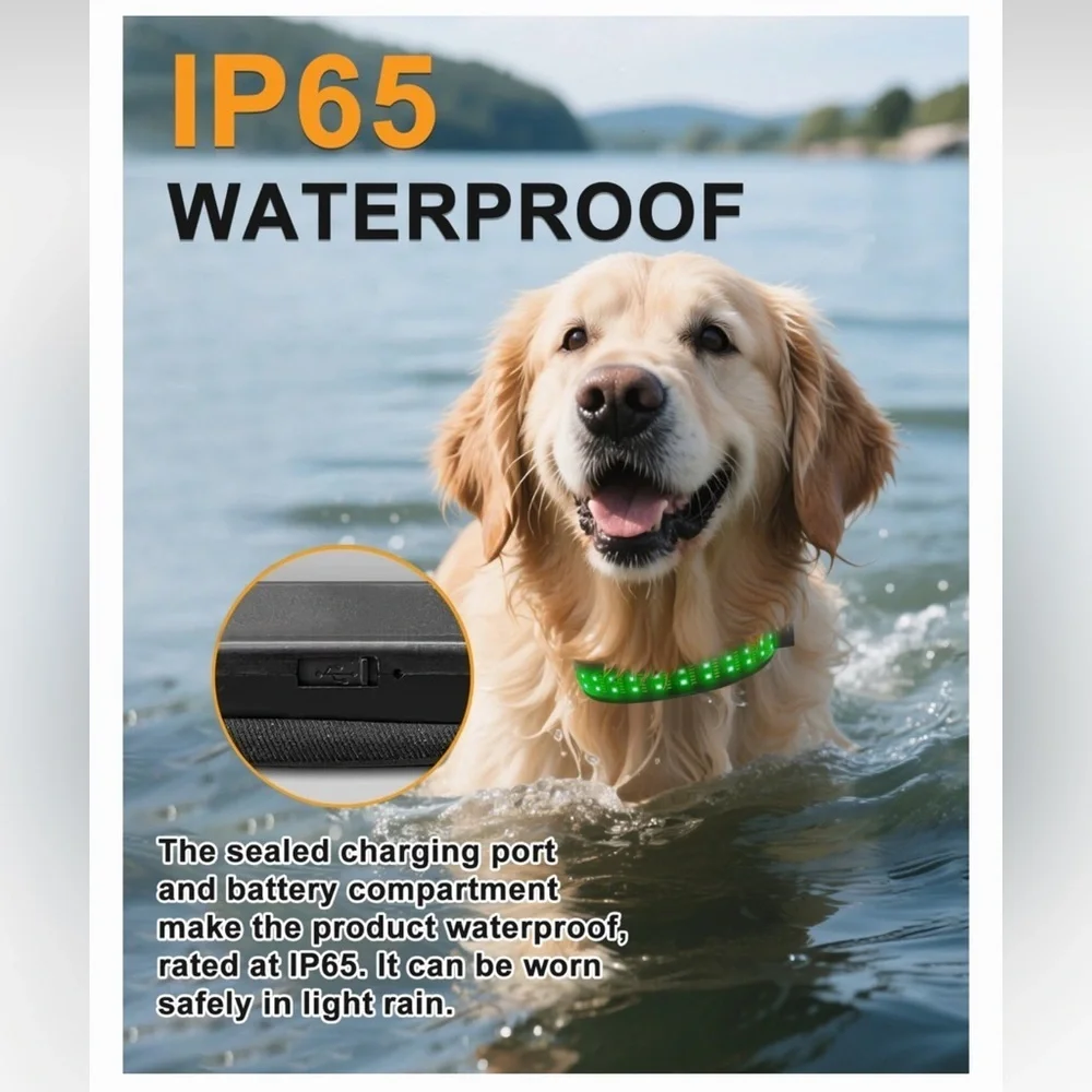 MEGAPAWS LED Dog Collar, Black, Extra Large: 24 to 28-in neck, 1.75-in wide